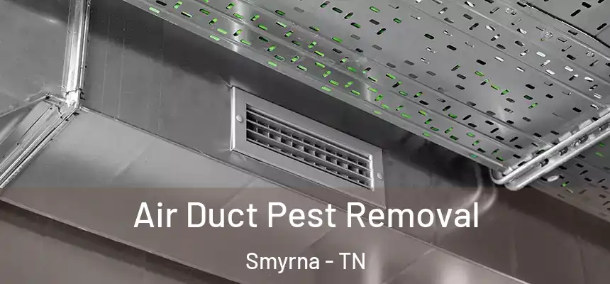 Air Duct Pest Removal Smyrna - TN