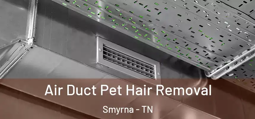 Air Duct Pet Hair Removal Smyrna - TN
