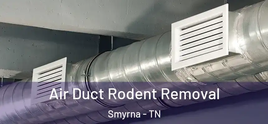 Air Duct Rodent Removal Smyrna - TN