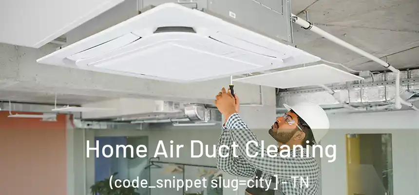  Home Air Duct Cleaning (code_snippet slug=city] - TN