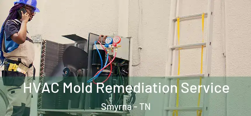  HVAC Mold Remediation Service Smyrna - TN