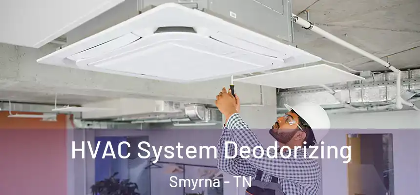 HVAC System Deodorizing Smyrna - TN