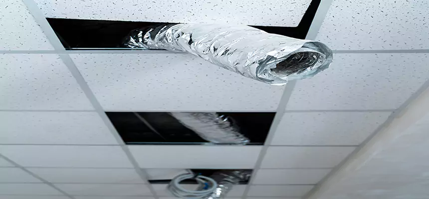 Affordable HVAC Sanitizing After Pest Removal in Smyrna