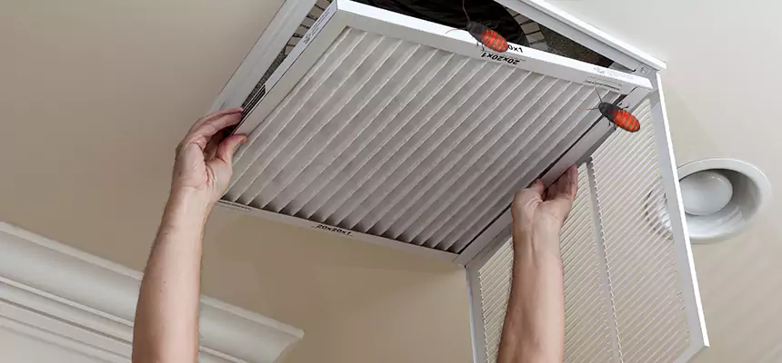 Our Insect Removal from Air Ducts Services in Smyrna, TN