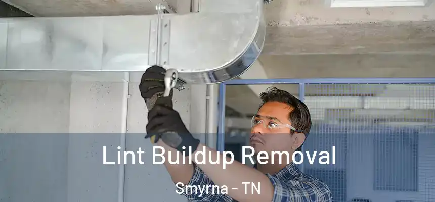  Lint Buildup Removal Smyrna - TN