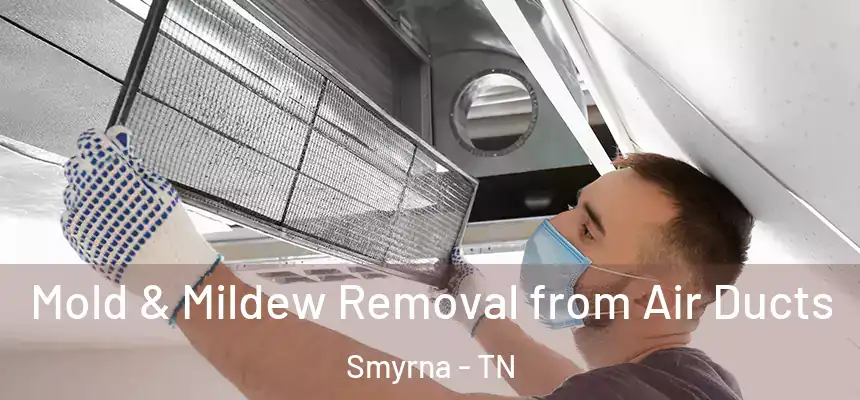 Mold & Mildew Removal from Air Ducts Smyrna - TN