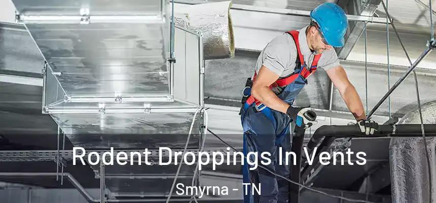  Rodent Droppings In Vents Smyrna - TN