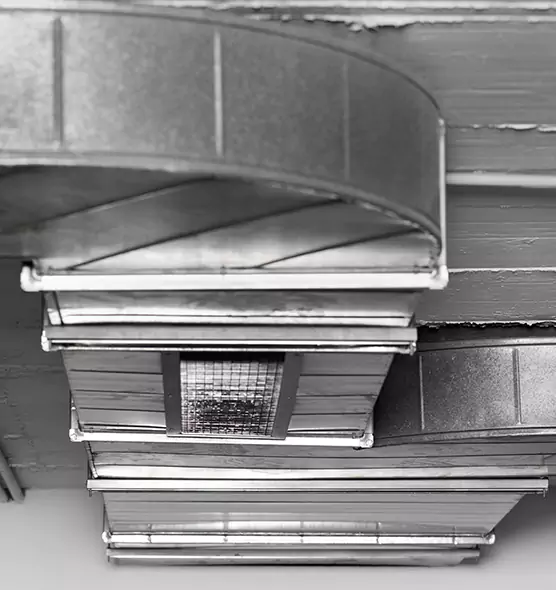 Professional Air Duct Pet Hair Removal in Smyrna, TN