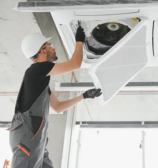 About Air Duct Rodent Removal in Smyrna, TN