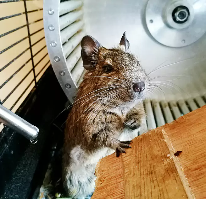 Why Homeowners & Businesses Trust Us Smyrna, TN?